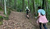 Tocht Noords wandelen Habscht - Septfontaines - Photo 6