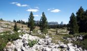 Tour Wandern Châtillon-en-Diois - Cirque d'Archiane - Les Hauts Plateaux du Vercors - Photo 17