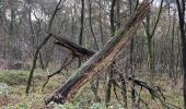 Tour Wandern Belœil - Stambruges, Beloeil, les Ecacheries, mer de sable, Stambruges - Photo 11