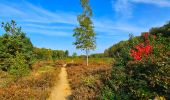 Trail Walking Braine-le-Comte - Marche Adeps à Hennuyères - Photo 9