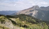 Tour Wandern Morzine - 74-Avoriaz-cretes-belvedere-10km-360 - Photo 3