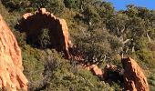 Excursión Senderismo Saint-Raphaël - Pic de l'ours, la Cadière, l'écureuil depuis Belle Barbe  - Photo 8