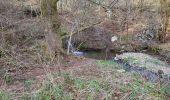 Tour Wandern Bertrix - Auby sur Semois 140324 - Photo 4