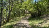 Tocht  Le Chaffaut-Saint-Jurson - Chapelle de lagrumuse - Photo 2