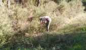 Trail Walking Canéjan - lestonnat - Photo 2