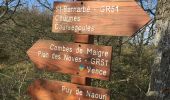 Trail Walking Courmes - Puy Naouri - Photo 8