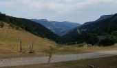 Trail Walking Lans-en-Vercors - les allieres, COL de l arc, et pic ST Michel - Photo 17