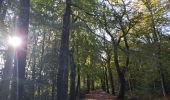 Excursión Bici de montaña Arfons - VTT raf - Photo 1