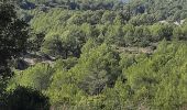 Trail On foot Cuges-les-Pins - vallon des martirs Riboux - Photo 2