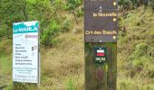 Trail Walking La Possession - Jour 5 la Réunion  - Photo 15