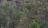 Trail Walking Le Muy - roquebrune argens - Photo 2
