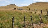 Trail Walking Besse-et-Saint-Anastaise - Le tour du Lac Pavin et montée au Puy Montchal - Photo 9