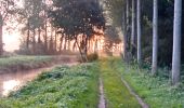 Tocht Stappen Curçay-sur-Dive - Curçay sur dive - Photo 4