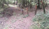 Randonnée Marche La Haye-le-Comte - La Haye-le-Comte par la forêt du Becdal - Photo 4