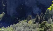 Randonnée Marche Murol - AUTOUR DU LAC CHAMBON  - Photo 11