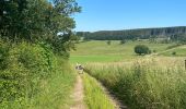 Tocht Stappen Marche-en-Famenne - Lignières - Photo 6