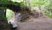 Randonnée Marche Chaudfontaine - bois des dames  - Photo 9