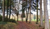 Tour Wandern Wanze - Promenade de la pierre à Moha   - Photo 1