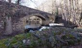 Tocht Stappen Chadeleuf - LES CROIX-BASSES - Photo 17