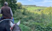 Trail Horseback riding Bastogne - Lutrebois - Photo 2