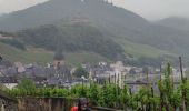 Tour Wandern Bernkastel-Kues - A travers les Vignes de la Moselle 🌿 - Photo 8