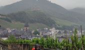 Randonnée Marche Bernkastel-Kues - A travers les Vignes de la Moselle 🌿 - Photo 8