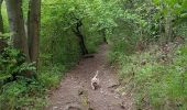 Trail Walking Giverny - Giverny Le lézard vert - Photo 16