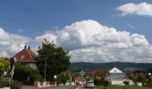 Percorso A piedi Forchheim - Zielwanderweg Forchheim- Reifenberg - Photo 5