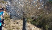 Trail Walking Arboras - arboras arsel - Photo 7