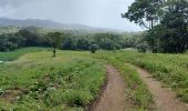 Trail Walking Le Morne-Rouge - Domaine de la vallée via Hbt Pecoul - Photo 3