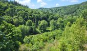 Trail Walking Houffalize - Engreux 190625 - Photo 5