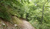 Trail Walking Villard-de-Lans - Le Pic Saint-Michel (Villard-de-Lans) - Photo 10