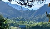 Tour Wandern Verdaches - VERDACHE.  Charcherie  , balade du Pré des Bois , cabane des bœufs  , o ĺ s - Photo 3