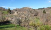 Tour Wandern Isserteaux - Isserteau_PuyDeCourDeLoup_T - Photo 4