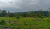 Trail Walking Chaudfontaine - embourg . beaufraipont . lande de mehagne . bois des 4 corneilles . embourg  - Photo 6