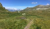 Randonnée Marche Mont-Noble - Crêts du Midi au lac Le Louché - Photo 11