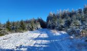 Tour Wandern La Roche-en-Ardenne - Samree 130125 - Photo 16