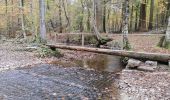 Trail Walking Saint-Hubert - FOURNEAU ST-MiCHEL ... observatoire de Bilaude. - Photo 4