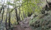 Trail On foot Portico e San Benedetto - L’anello classico dell’Acquacheta - Photo 6
