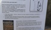 Trail Walking Thuin - Thuin G.B.D. - Photo 1
