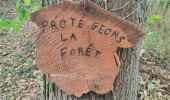 Randonnée Marche Mettet - Devant les bois, Sart Eustache, Biesme - Photo 2