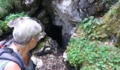 Randonnée Marche Brizon - BARGY: SOLAISON - ROCHERS DE LESCHAUX - CENISE - GLACIERE - Photo 4