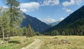 Tour Wandern Trient - GTMB ETAPE 3Trient Champex - Photo 2