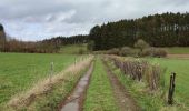 Trail Walking Gouvy - La promenade des bornes frontière - Photo 15