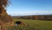 Tocht Stappen Érezée - fisenne - Photo 2