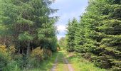 Randonnée Marche Theux - au sud de Bronrome  - Photo 14