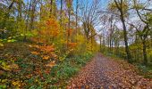 Tour Wandern Ham-sur-Heure-Nalinnes - La promenade du Pré al Rocq - Photo 3