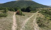 Trail Walking Pescasseroli - Pescasseroli Opi Colle Alti 18 km - Photo 9