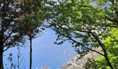Randonnée Marche Agerola - Path of the Gods (Bomerano) - Photo 7