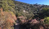 Tour Wandern Saint-Guilhem-le-Désert - Saint-Guilhem-le-Désert / Roc de la Jarre / Ermitage ND de Belle Grâce - Photo 13